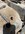 IMG_2683.jpeg