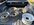 IMG_2858.jpeg