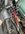 IMG_2727.jpeg
