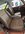 IMG_3172.jpeg