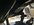 IMG_3648.jpeg