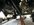 IMG_3644.jpeg