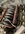 IMG_0330.jpeg