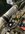 IMG_0331.jpeg