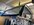 IMG_2363.jpeg