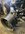 IMG_0336.jpeg