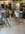 IMG_0342.jpeg