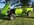 IMG_2302.jpeg