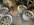 IMG_0353.jpeg