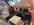 IMG_3276.jpeg