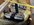 IMG_2980.jpeg
