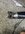 IMG_2421.jpeg