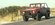 IMG_1534.jpeg