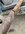 IMG_8011.jpeg