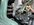 IMG_2799.jpeg