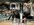 IMG_3582.jpeg