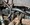 IMG_3581.jpeg