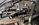 IMG_3577.jpeg