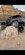 Screenshot_20250724_114920_Gallery.jpg