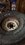 IMG_7757.jpeg