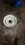 IMG_7756.jpeg