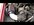 IMG_7827.jpeg