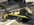 IMG_2628.jpeg