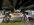 IMG_3703.jpeg