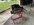 IMG_3031.jpeg