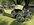 IMG_2375.jpeg