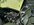 IMG_2376.jpeg