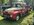 IMG_2373.jpeg