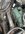 IMG_2868.jpeg