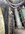 IMG_2871.jpeg