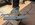 IMG_6736.jpeg
