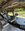 IMG_3769.jpeg