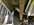 IMG_3799.jpeg