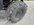 IMG_8005.jpeg