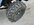 IMG_8007.jpeg