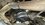 IMG_0491.jpeg
