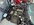 IMG_2644.jpeg
