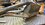 IMG_0538.jpeg