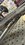 IMG_0532.jpeg