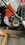 IMG_8966.jpeg