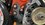 IMG_8970.jpeg