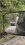 IMG_0403.jpeg