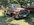 IMG_2687.jpeg
