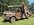 IMG_2666.jpeg