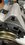 ED4FF82D-492C-46FE-888F-D186832589E5.jpeg