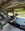 IMG_3936.jpeg